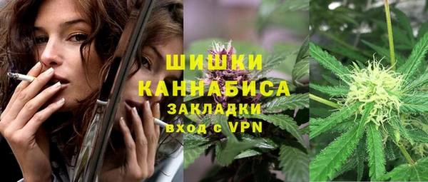 дмт Елизово