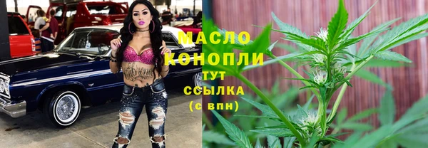 дмт Елизово