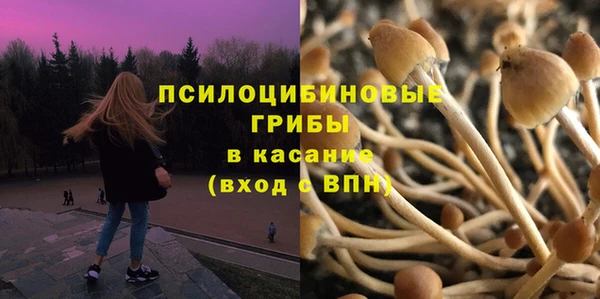 дмт Елизово
