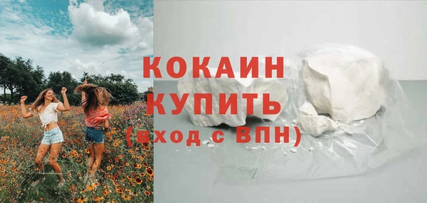 дмт Елизово